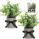 DomeStar 2 Pack Mini Artificial Potted Plants with Gift Bag & Ribbon - Gift Ready Faux Eucalyptus for Housewarming, Office Desk Decor - Cute Appreciation Gifts for Women, Coworkers, Friends (Green)