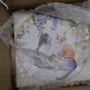 Bits and Pieces Tea for One Porcelain Teapot & Cup Set Decorative Tassel on Teapot Handle Elegant Gift Box in Peacock