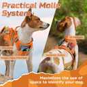 rabbitgoo Tactical Dog Harness for Large Dogs, No Pull Military Service Vest with Handle & Molle, Easy Control for Training Walking, Adjustable Reflective Straps, Orange, L
