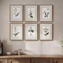 Framed Vintage Botanical Wall Art, 6 Piece Rustic Floral Canvas Painting Prints Artwork for Kitchen Walls, Neutral Flower Pictures for Living Room Bedroom Dining Room Farmhouse Wall Decor, 11x14