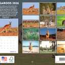 Kangaroo Calendar 2026 Monthly Wall Calender 12 Month | American Made In The USA