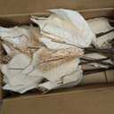 Alupssuc 10 PCS Poinsettia Christmas Flowers Artificial, Large Size 9 Inch Glitter Poinsettia Flowers Artificial, Sparkling Christmas Decorations for Xmas Tree Party Wreath Fireplace, Champagne Gold