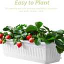 Rectangular Plastic Planter Pot 2 Pack with Drainage Saucers 5.5X7.4X5.5 Inches Indoor Outdoor Garden Vegetable Succulent Flower Box, 43x19cm