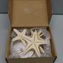 15 PCS 3-4 Inches Large Starfish 2-6 Inch Mixed Natural Scallop Shells Perfect for Wedding Decor Beach Theme Party, Home Decorations, DIY Crafts, Fish Tank