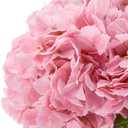 Light Pink Hydrangea Artificial Flowers with Glass Vase, Real Touch Faux Hydrangea Arrangement with Faux Water, Ready-to-Display Table Centerpiece for Bathroom, Shelf, Home Dcor