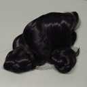 morvally Short Black Purple Wig with 2 Buns Anime Cosplay Synthetic Hair Wigs for Halloween Costume Party (Black Purple, Small Head)