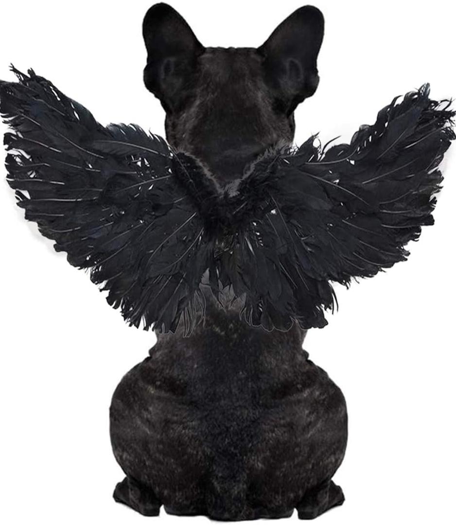 WeeH Pet Halloween Costume Cosplay Angel Devil Black White Wing for Dog Cat Rabbit Piggy - Funny Gift at Halloween Party Anime Theme Birthday Christmas (Black, Large)
