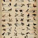 Duck Gifts Types of Duck Vintage Tin Sign for Home Office Farmhouse Man Cave Hunting Room Classroom Wall Art Decor 8x12 Inch (3269)