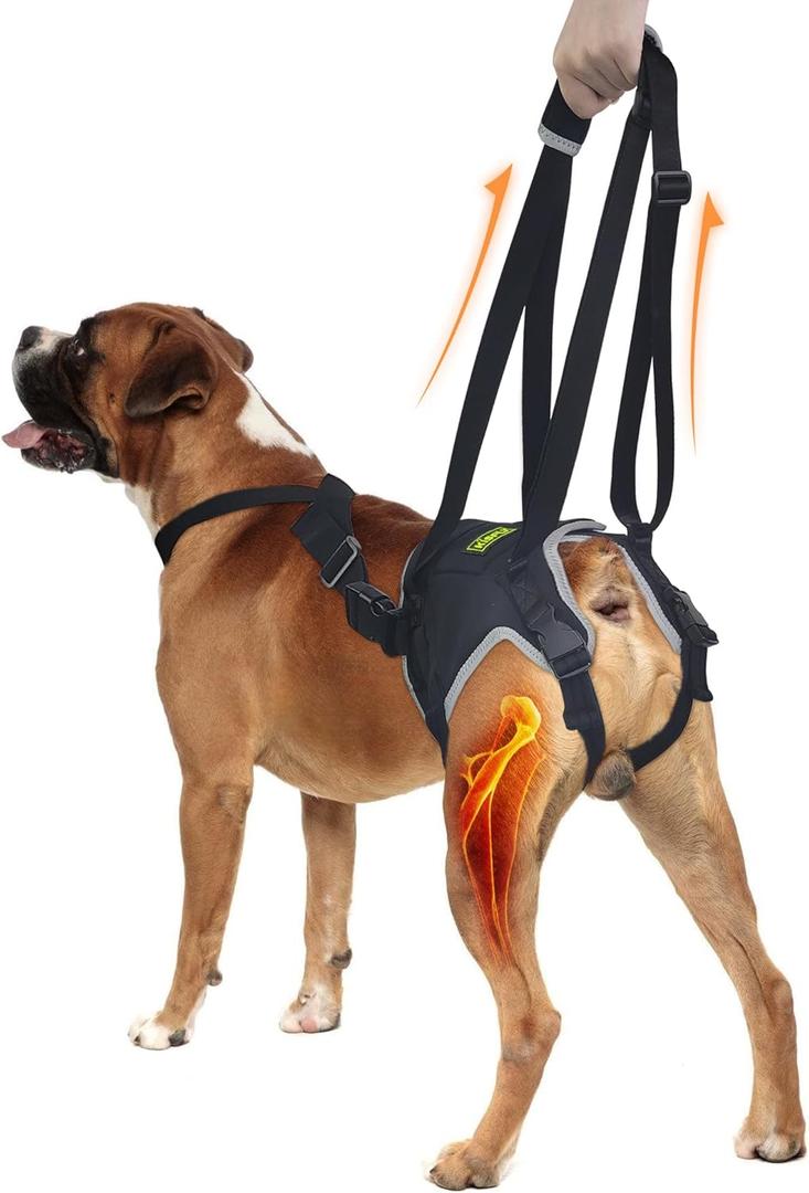 Dog Sling for Medium Dogs, Hind Leg Support Harness for Back Leg Assistance, Helps with Joint Issues and Mobility Support, Assists Walking, Reflective Design, Size Medium