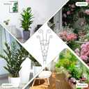 ZOUTOG Trellis for Climbing Plants Indoor 4 Pack 30 Inch,Rustproof Metal Garden Trellis for Potted Plants,Sturdy Houseplant Support Indoor Outdoor for Ivy Pothos Monstera Hoya Flower Vine (Black Moon)