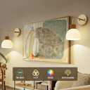 Glass Battery Operated Wall Sconces Set of 2, Rechargeable Wall Lamp with Remote, 12 Colors Dimmable Wireless Sconces Wall Decor Set of 2 with Timer for Bedroom Living Room (Gold, 2 Pack)