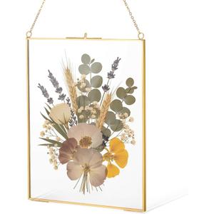 8x10 inch Double Glass Hanging Frame, Glass Pressed Flower Frames for Pressed Flower Clear DIY Vintage Artwork Display Frame with chain for Specimen, Certificate, Home Decor