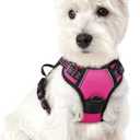 rabbitgoo Dog Harness No Pull with 2 Leash Clips, Adjustable Soft Padded, Reflective Oxford No Choke Pet Vest with Easy Control Handle for Puppy, Hot Pink, XS