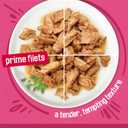 Purina Friskies Gravy Wet Cat Food Variety Pack, Surfin and Turfin Prime Filets Favorites - (Pack of 40) 5.5 oz. Cans (EXP 05/31/28)