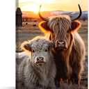 QIXIANG Highland Cow Canvas Wall Art Highland Fluffy Cattle Paintings Prints Farm Animal Pictures Wall Decor for Bathroom Frame (Highland Cow B, 16.00" x 24.00") 