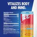 Red Bull Sugar-Free Fuji Apple and Ginger Winter Edition Energy Drink, with 80mg Caffeine plus Taurine & B Vitamins, 8.4 Fl Oz, Pack of 24 Cans
