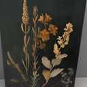 Black Botanical Canvas Wall Art Set of 3 Vintage Floral Art Moody Flower Wall Decor Dark Academia Poster Painting Prints Pictures for Bedroom Living Room 16x24 Inch Framed