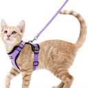 rabbitgoo Cat Harness and Leash for Walking, Escape Proof Soft Adjustable Vest Harnesses for Cats, Easy Control Breathable Reflective Strips Jacket, Light Purple, XS