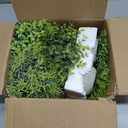 Small Fake Plants, 5 Pack Artificial Eucalyptus Mini Potted Plant Indoor Greenery Plastic Fake Plants Faux Plant for Table Shelve Bathroom Kitchen Rustic Farmhouse Indoor Decor