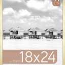 MCS Foundation 18x24 Poster Frame Traditional Brass, Vertical & Horizontal Wall Hanging Large Picture Frame for Photos, Posters & Art Prints (1-Pack)