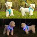 Light Up Dog Harness,Rechargeable LED Dog Harness for Small Medium Large Dogs,Reflective Lighted Safety Vest for Night Walking & Camping,Lightweight & Adjustable,Blue,XS