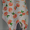 Kuoser Dog Recovery Suit Female, Dog Onesie for Surgery, Female Spay and Male Neuter Onesie for Post-Op Care, Prevent Licking Puppy Onesies, Pink L (L (Back:16.1-20.1'', Weight:23-48 LB))