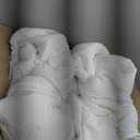 SEDLAV Solid Twin Down Alternative Blanket in White