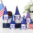 2 x Jenaai 5 Pcs Veterans Day Gifts Patriotic Gnomes Ornaments with Appreciation Cards Christmas Holiday Gnomes Plush Tray Table Decor for Patriotic Party Favor Home Office Desk