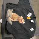 Bearded Dragon Shirt Youth Gecko Lizard Animal T-Shirt