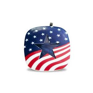 American Breeze Flag Vent Clip 2 pack