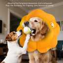MIDOG Inflatable Dog Cone Collar, Cute Lion Mane Recovery Collar for Large Medium Dogs, Soft Blow-Up Donut Alternative After Surgery, Anti-Lick Protective Neck E-Collar (L, 15"-20")