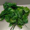 Yunlly 250 Pack Artificial Silk Green Fern Cemetery Flowers Leaf Picks Fake Greenery Stems Fern Leaves for Cemetery Grave Headstone Floral Arranging Crafting Decoration