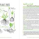 Rodale's Basic Organic Gardening: A Beginner's Guide to Starting a Healthy Garden