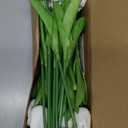 ONLY ART 20pcs White Artificial Tulip Flowers with Soft Latex Materials for Home & Kitchen Decoration New Year Spring
