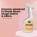 Stain & Odor Remover  Enzyme-Powered Cleaner for Pet Accidents on Carpet, Furniture & Floors  32 oz Spray  Safe for Dogs, Cats & Homes