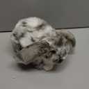 Eater Dutch Lop Eared Rabbit Ornament Cute Stuffed Animal Fluffy Rabbit Animal Realistic Bunny Cute Stuffed for Xmas Gift Bedtime Snuggling Companion Friends 9.8 Inches(Soft,1 Pcs)