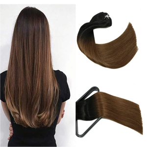 Long Layered Ombre Brown wig Synthetic Hair Fiber Highlight Multicolor Wigs for White Women (Ombre Brown)