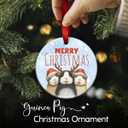 3 x Guinea Pig Christmas Ornament 2025  Guinea Pig Celebrate Christmas Decor, Cute Animals Ornament - Hamster Holiday Tree Decoration, Xmas Gift for Animal Lovers & Pet Owners