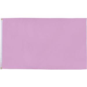 AZ FLAG - Plain Pink Flag - 2x3 Ft - 100D Polyester Pink Solid Color Banner with Two Metal Grommets - Fade Resistant - Vivid Colors - 2' x 3' Feet - 90x60 Cm