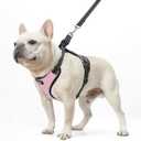 PUPTECK Dog Harness and Leash Set for Small Medium Sized Dogs, No Pull Dog Harness for Walking Training, Adjustable Reflective Puppy French Bulldog Frenchie Harness Soft Padded Vest, Pink, M