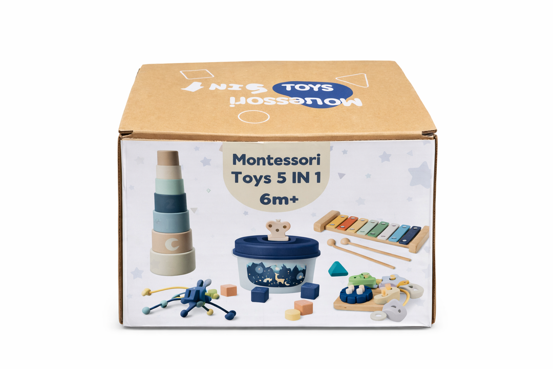 montessori toys 5 in 1 6m