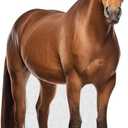 Horse - Life Size Cardboard Cutout Standup People with Support Standee | Animals -1