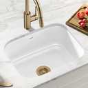 Kraus KEU-12 WHITE Pintura 16 Gauge Undermount Single Bowl Enameled Stainless Steel Kitchen Sink, 23-inch, White Rounded