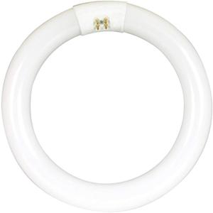 Feit Electric 8-inch 15 Watt LED Circular Tube T9 Replacement, Cool White, 4100K, G10Q Base, Plug & Play, Requires Compatible Existing Ballast, FC8/840/LED 22W EQ Non-DM LED Tube