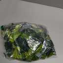 Dinosaur Toys, Create A Dinosaur World Road Race, Flexible Track Playset and 2 pcs Cool Dinosaur car for 3 4 5 6 Year & Up Old boy Girls Best Gift (Green)