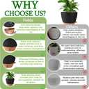 Fielda 8/10/12 Inch Self Watering Pots for Indoor/Outdoor Plants - Large Plastic Planter with Drainage Holes, Water Level Indicator & Deep Reservoir, Modern Decorative Flower Pots (Black)