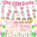 One Silly Goose1st Birthday Party Supplies,Pink Silly Goose Photo Banner ,Backdrop,Ballon,Hanging Decorations for Baby Shower Girls First Party Decorations