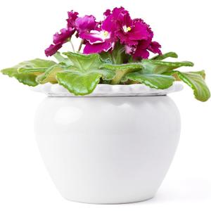 African Violet Pots 8 inch White Ceramic Easy Plant Self Watering Pot Ceramic Flowerpot with Water Absorbing Inner Pot Orchid Planter for Best Gifts Lawn Yard Outside Decor