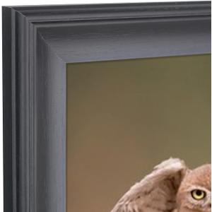 19x23 inch Picture Frame Solid Wood 19x23 Photo Frame 19x23 Poster Frame Black (A23B1923)