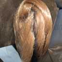 Coraline Womens Flip Wig 70s 60s Retro Beehive Style Bouffant Vintage Look Wig Costume Women Wig wtih Bang (Ginger)